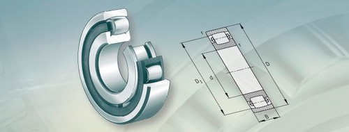 Roulements à rotule sur rouleaux
